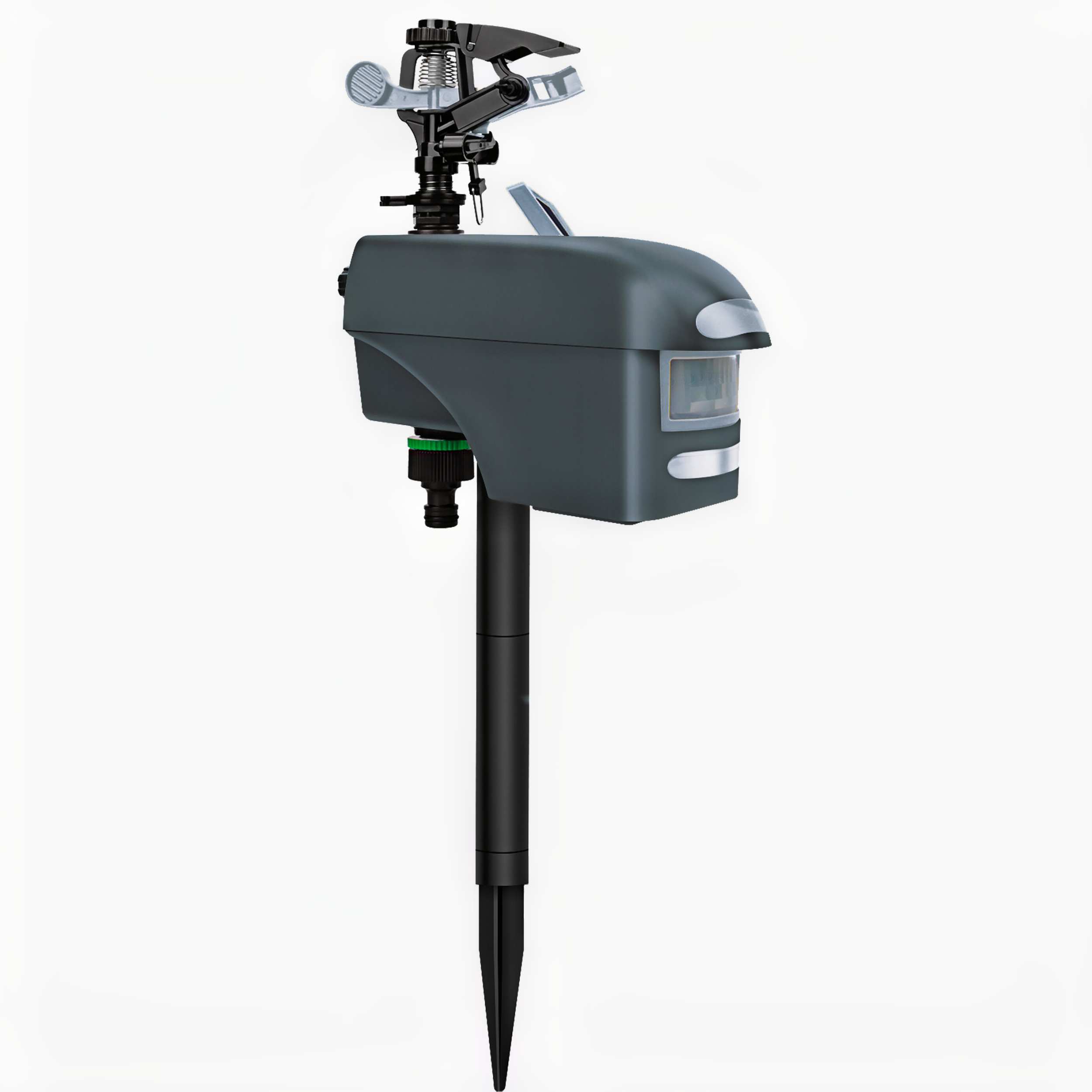 Sprinkler d'oiseau et de chat