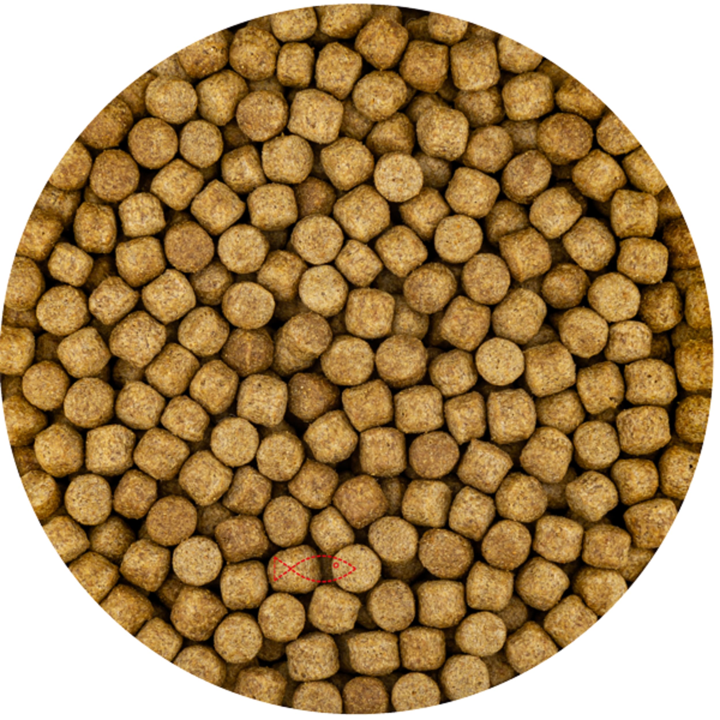 Germe de blé 6 mm (6 kilos de sac) Germe de blé 6 mm (6 kilos de sac)