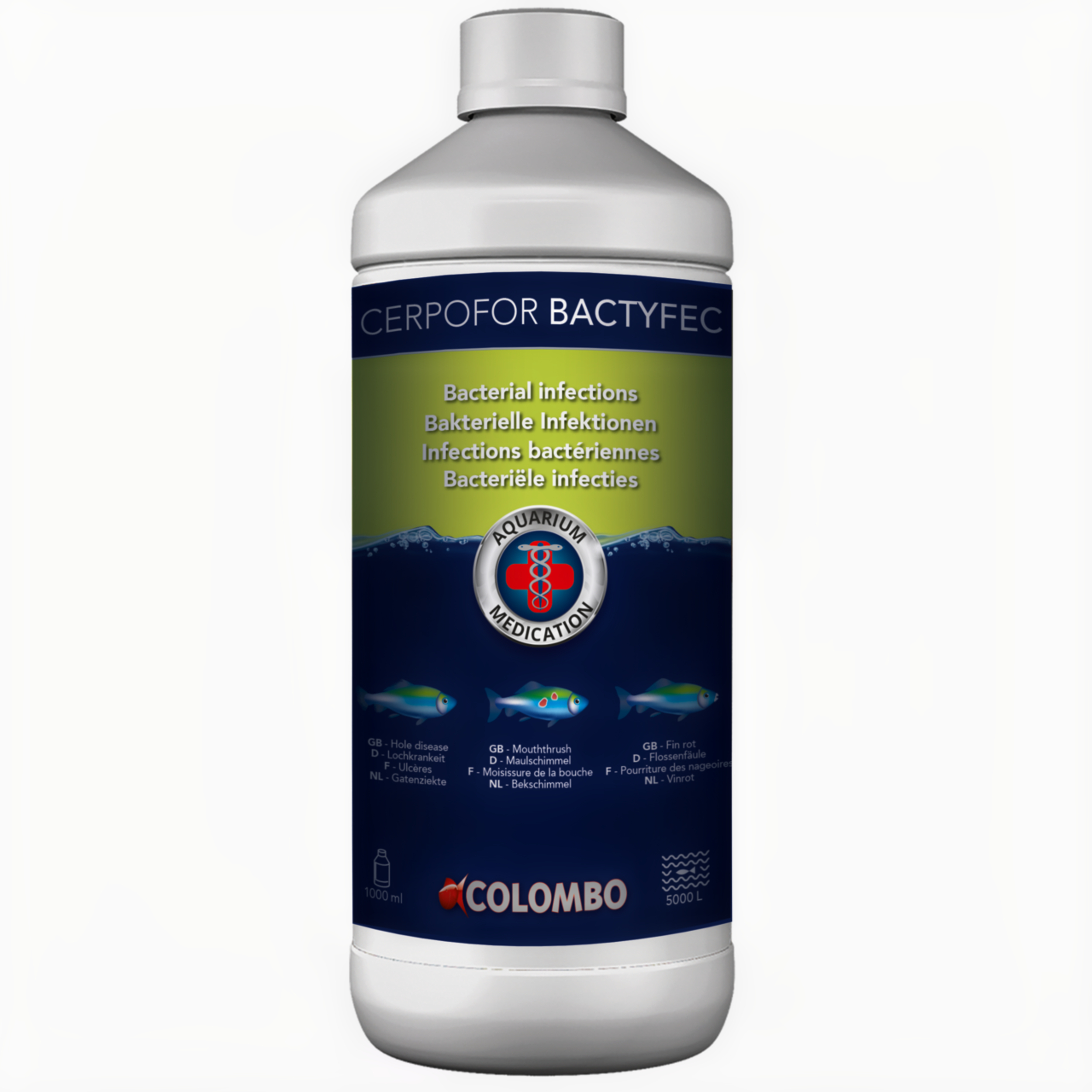 Bottle, Water Bottle, Animal, Fish, Sea Life