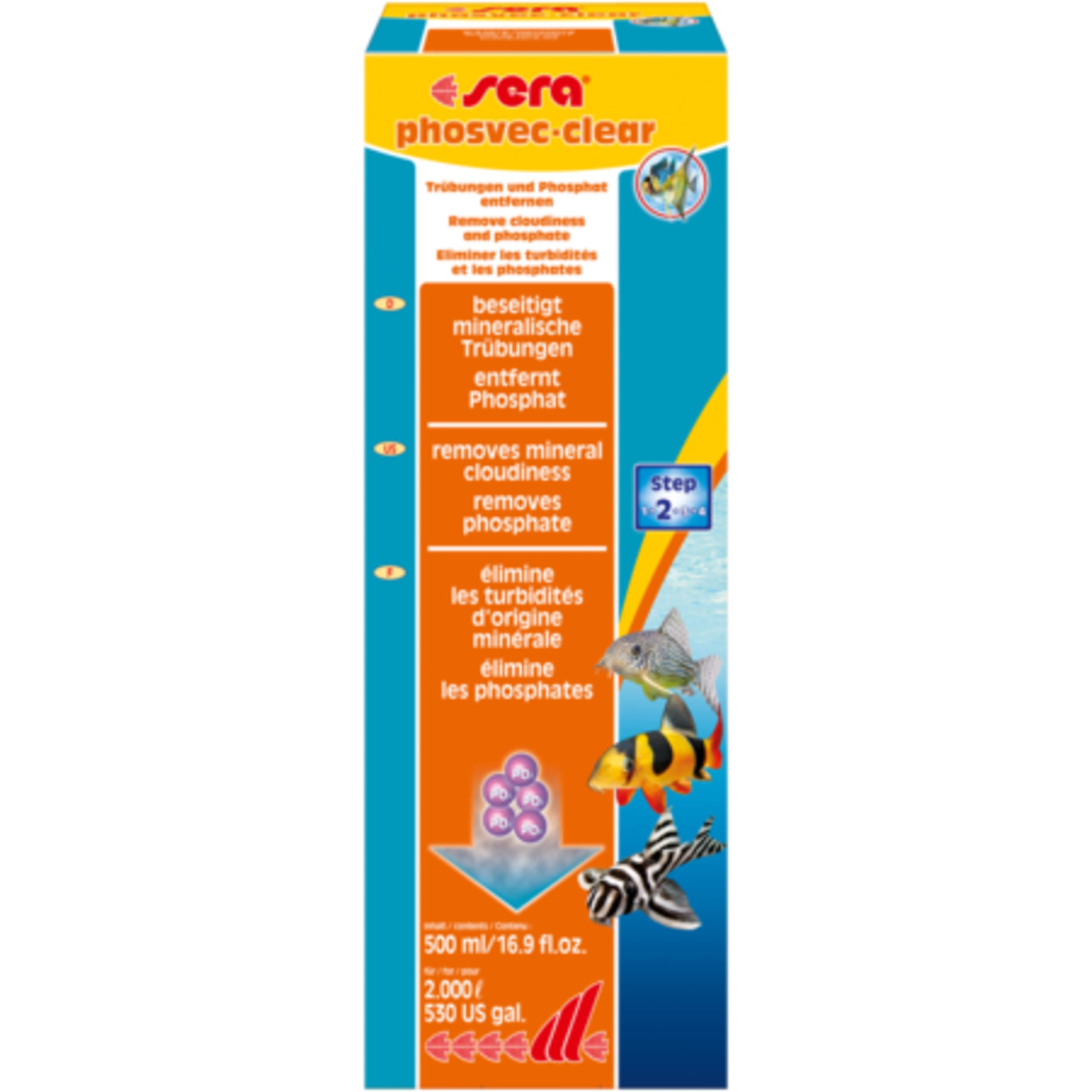 Animal, Fish, Sea Life