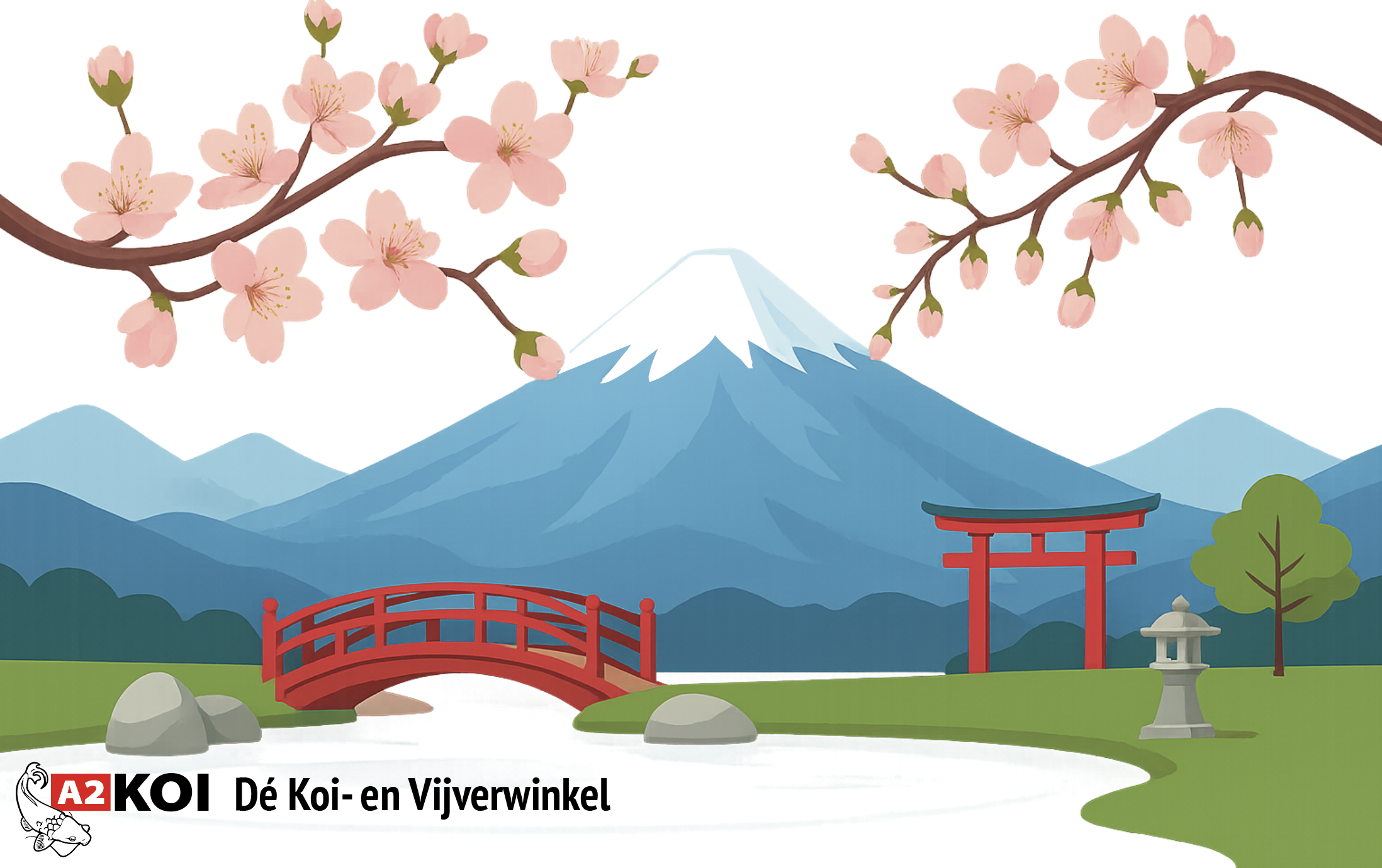 Flower, Plant, Outdoors