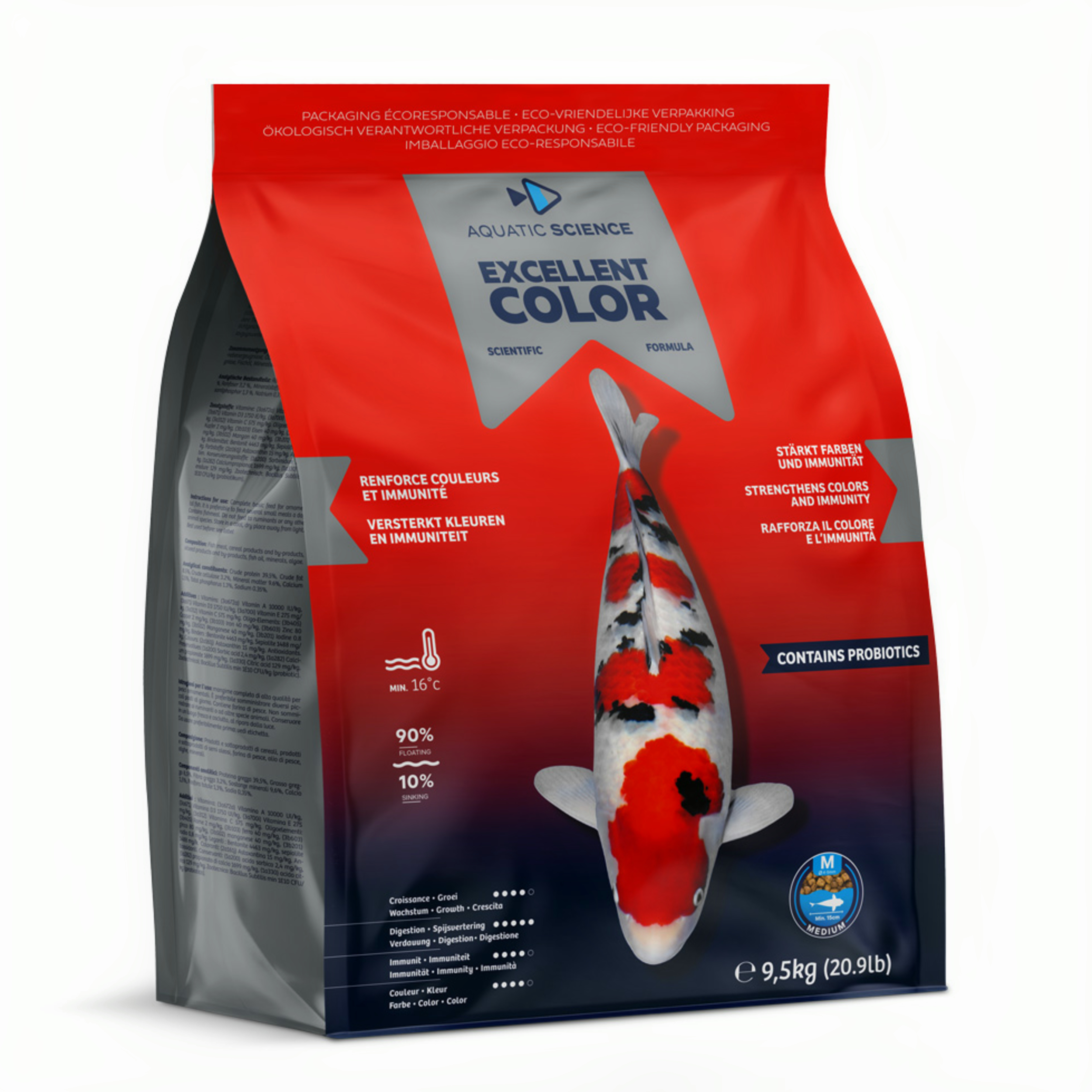 Animal, Carp, Fish, Sea Life, Koi