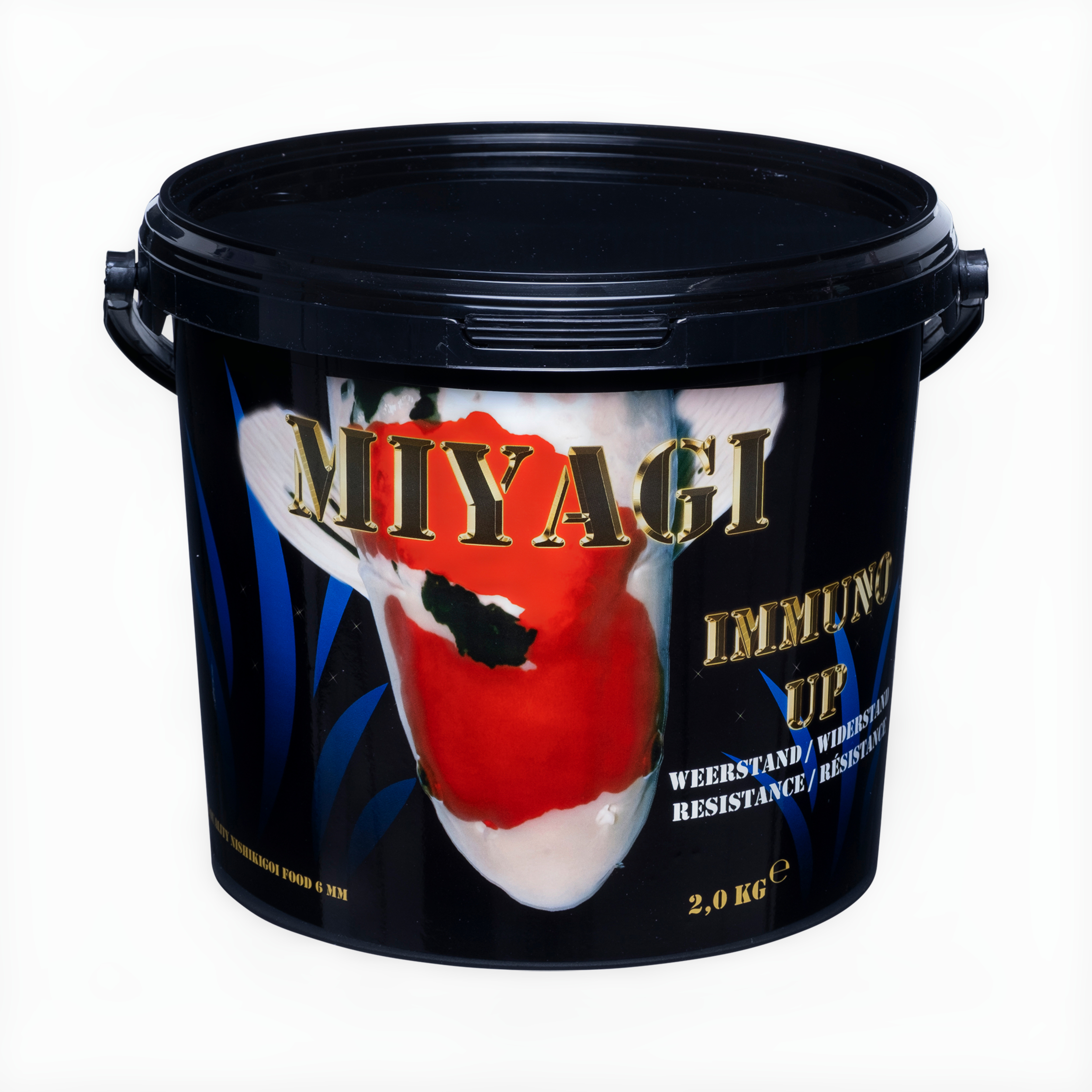 Paint Container, Bottle, Shaker