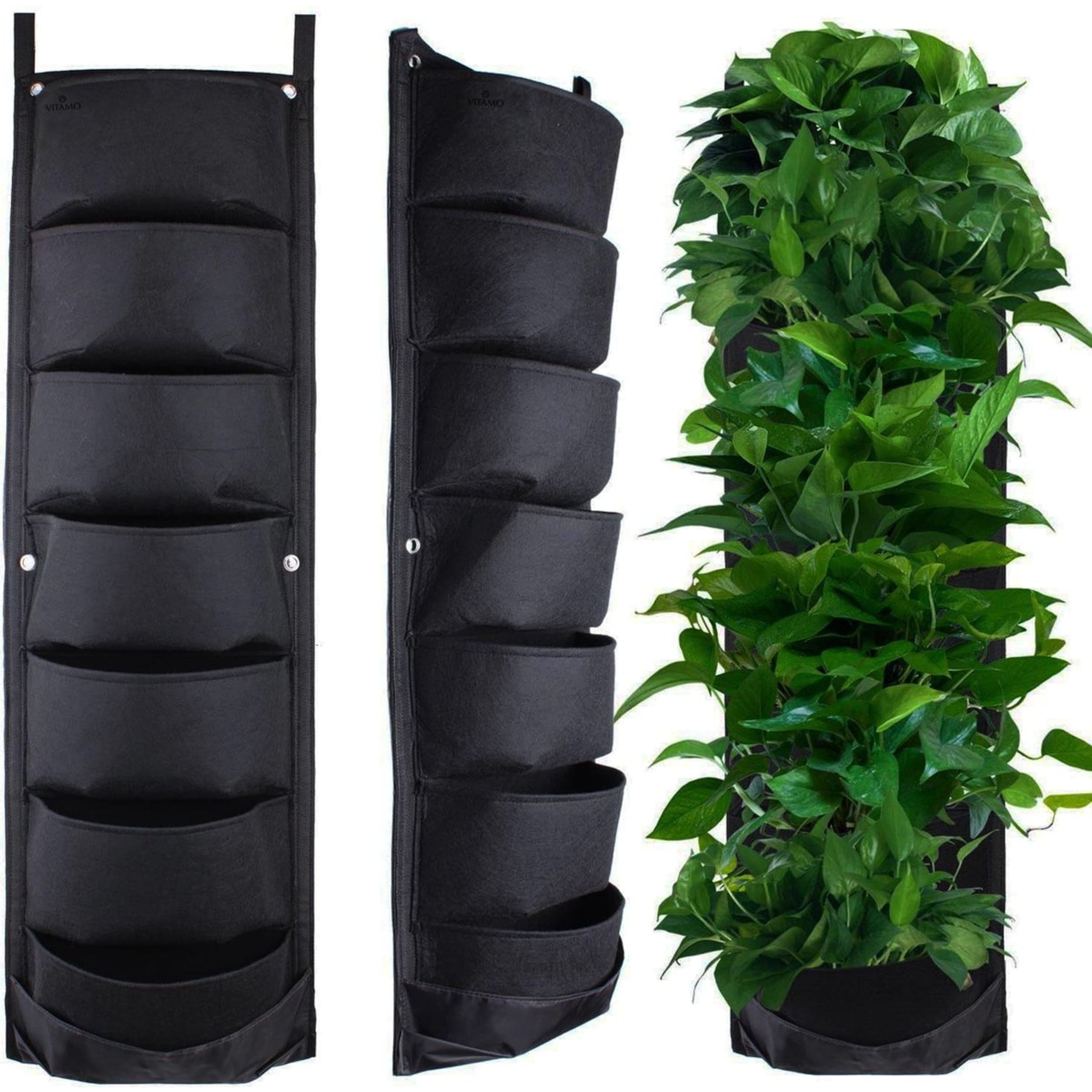 Plant, Potted Plant, Planter, Vase, Leaf