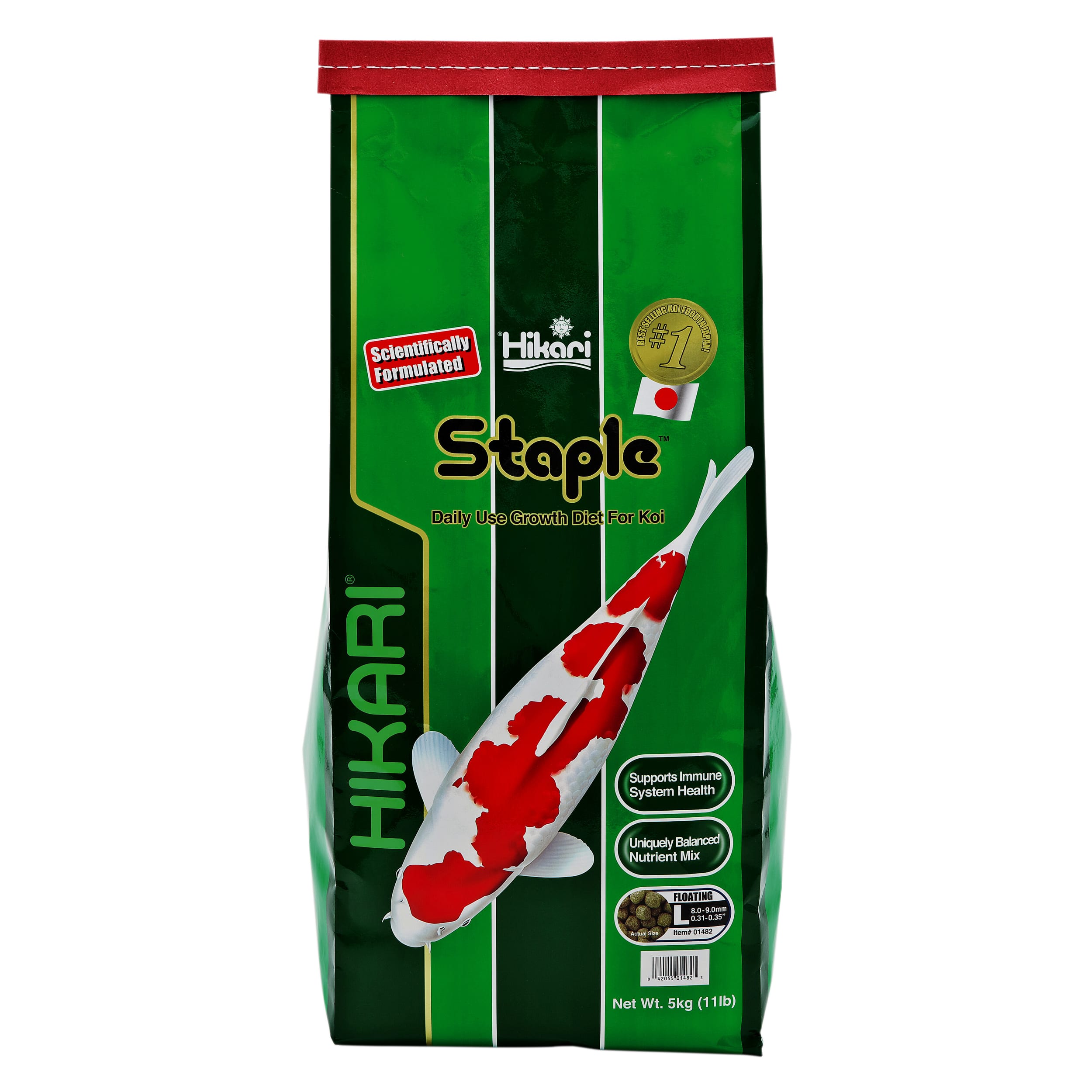 Animal, Carp, Fish, Sea Life, Koi