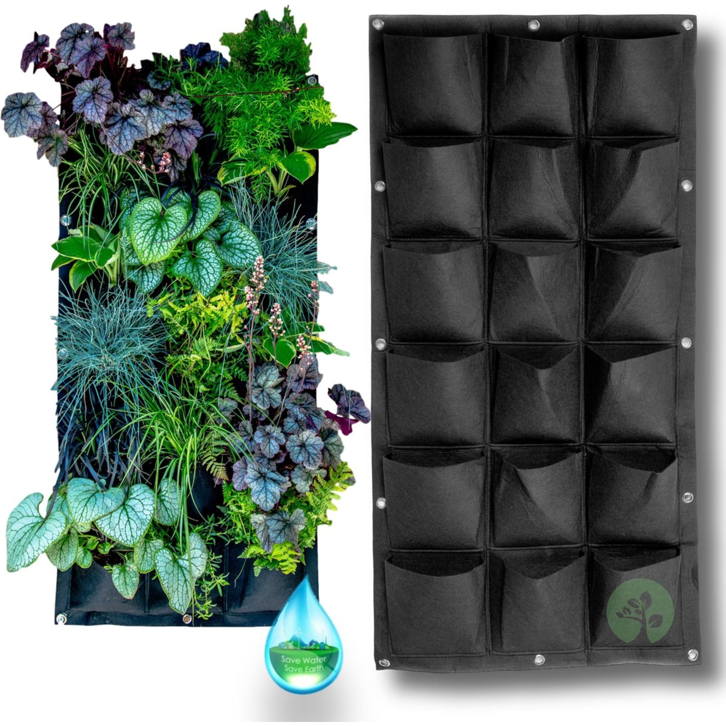 Plant, Potted Plant, Herbs, Planter, Herbal