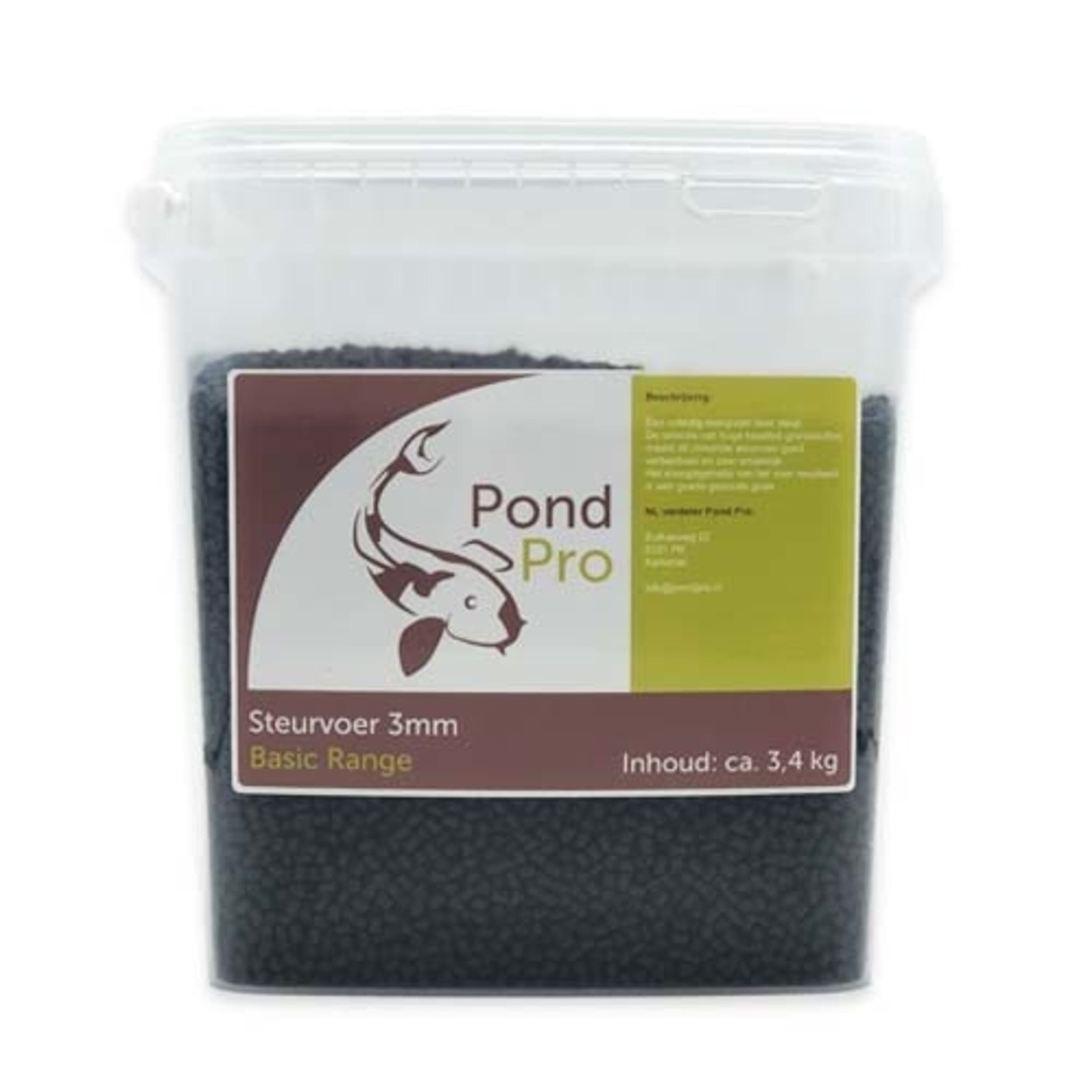 Business Card, Paper, Text