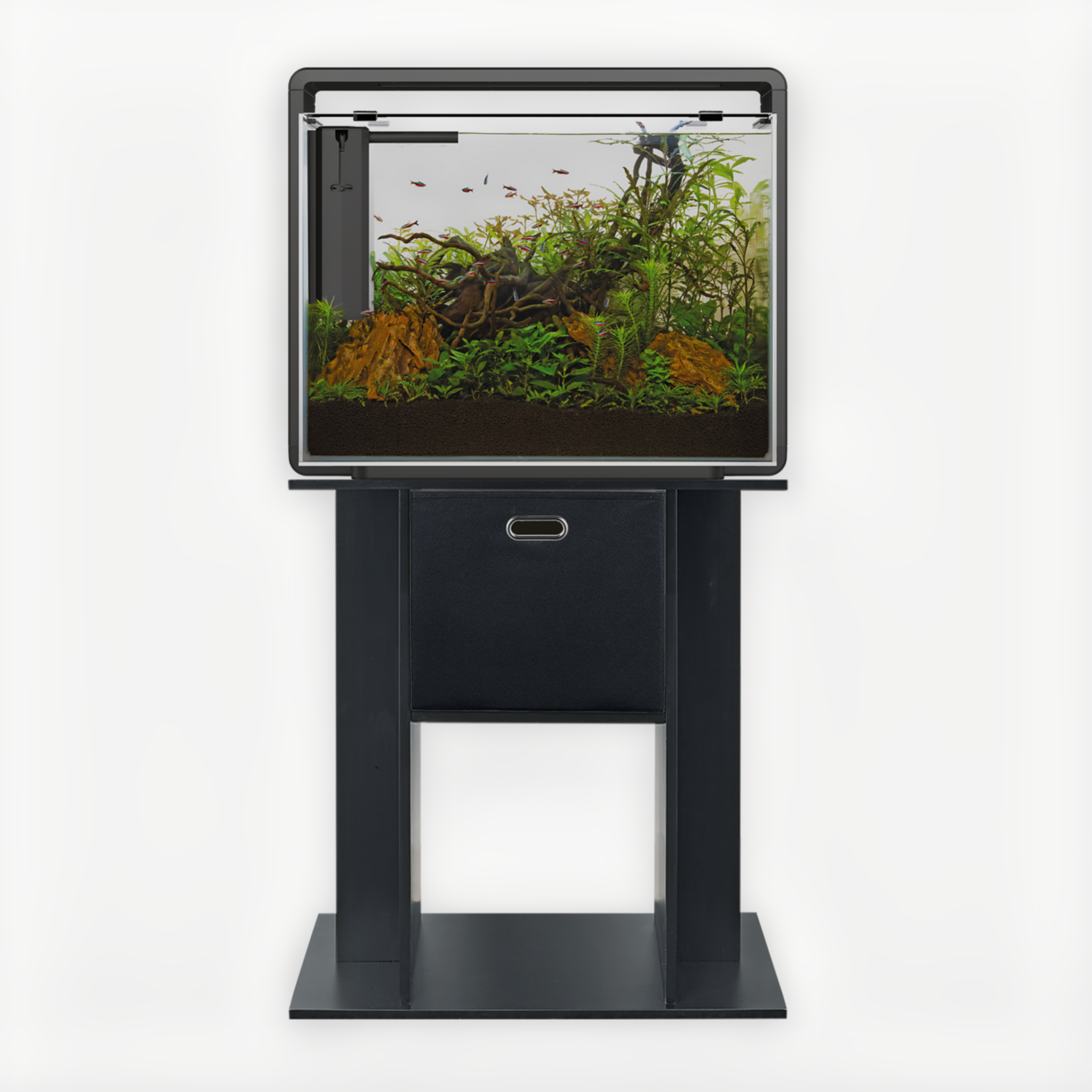 Animal, Aquarium, Fish, Sea Life, Water