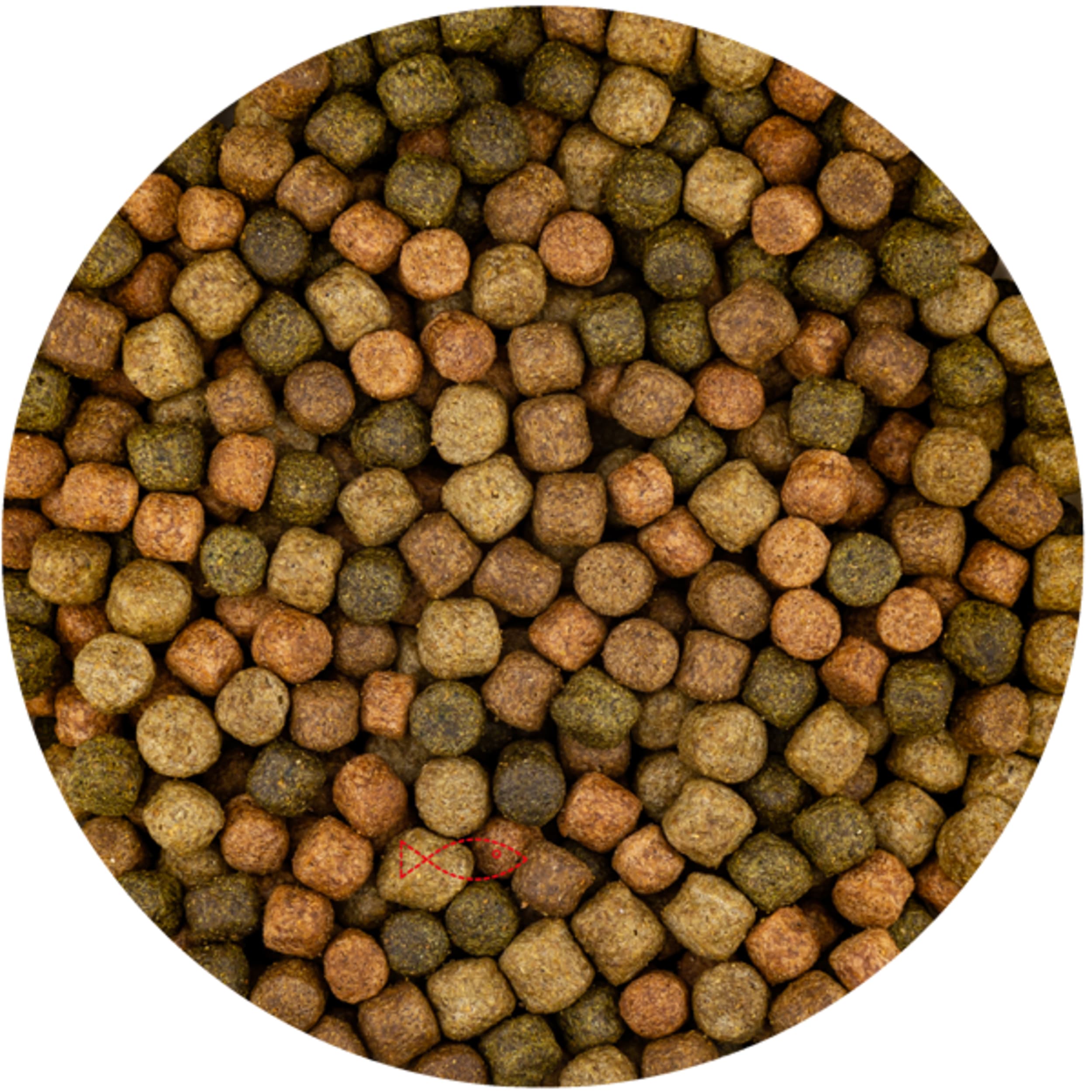 Mélange supérieur 6 mm - 6 kg - Koifur