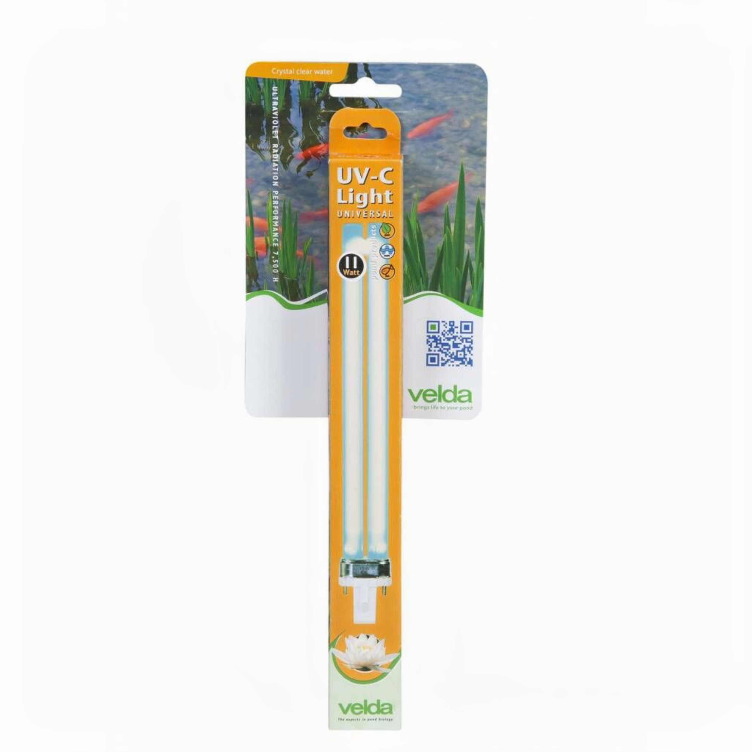 Brush, Device, Tool, Toothbrush