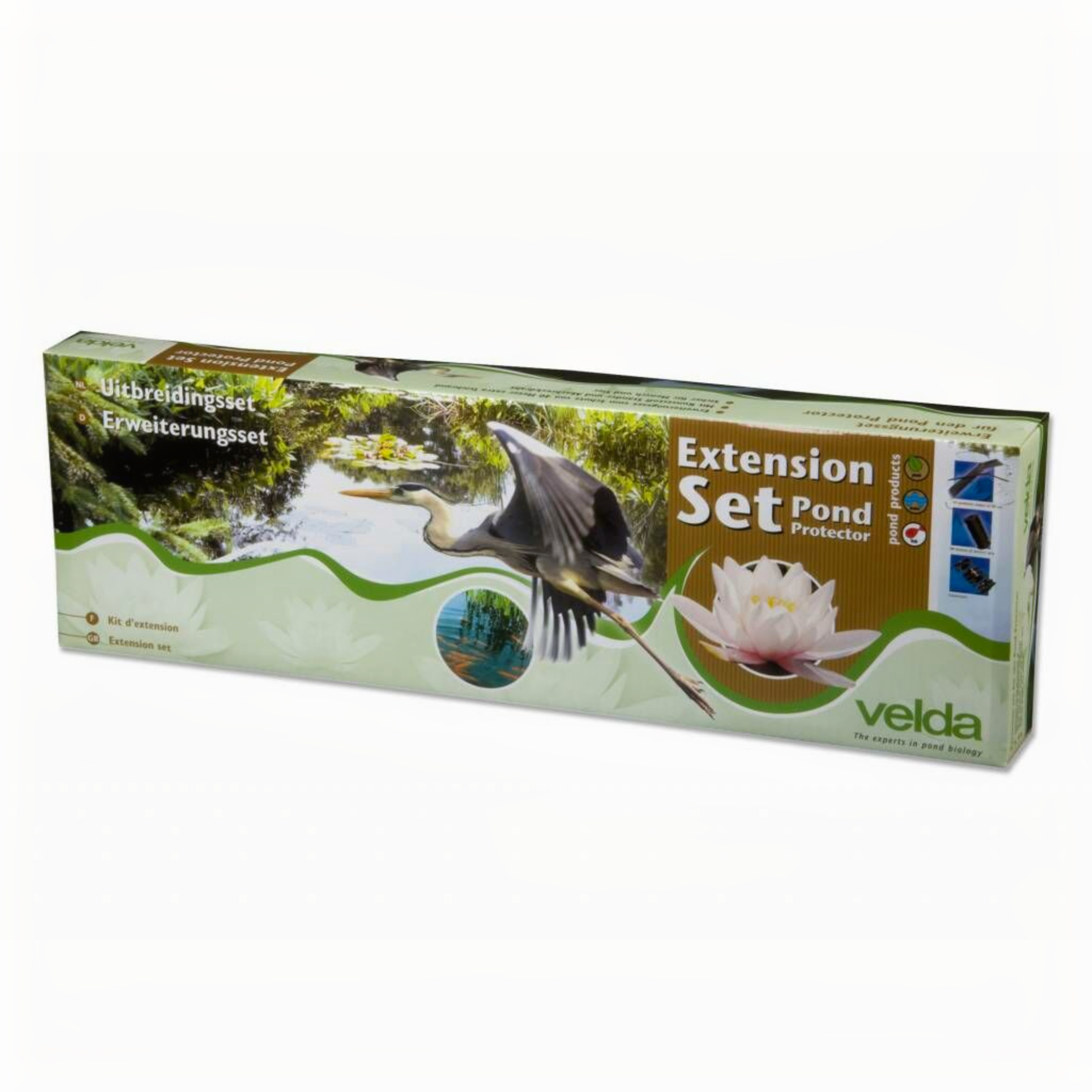 Herbal, Herbs, Plant, Animal, Bird